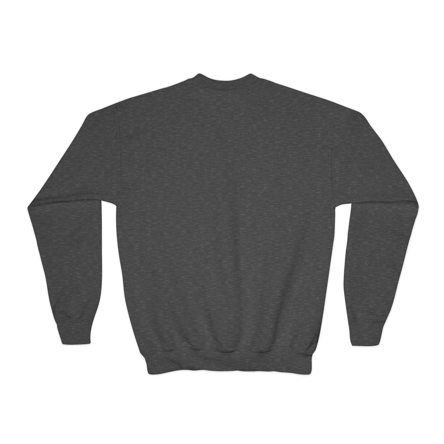 Turnpike Youth Crewneck